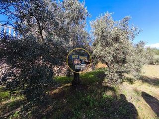 Solar en venta en Albaida