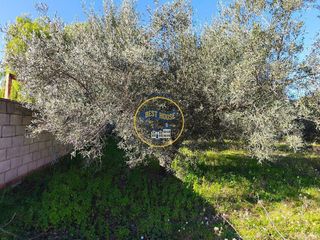 Solar en venta en Albaida