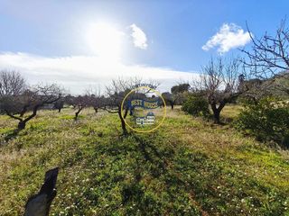 Solar en venta en Albaida