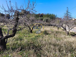 Solar en venta en Albaida