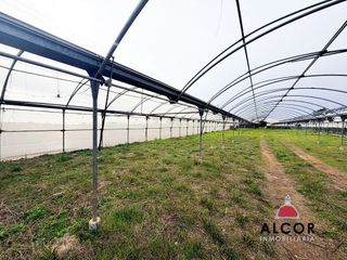 Terreno en venta en Centro en Alcanar