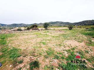 Terreno en venta en Centro en Alcanar
