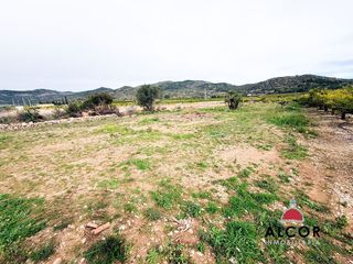 Terreno en venta en Centro en Alcanar
