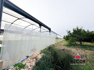 Terreno en venta en Centro en Alcanar