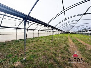 Terreno en venta en Centro en Alcanar