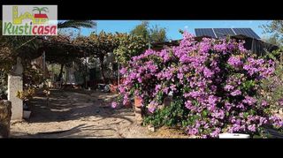 Terreno en venta en Bailén