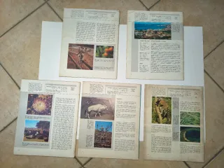 Museo Dell'uomo: 5 Fascicoli 1964