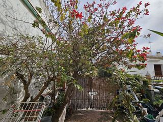 Casa en venta en Centro Urbano en Estepona