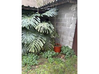 Terreno en venta en Vilartagues i Tueda de Dalt en Sant Feliu de Guíxols