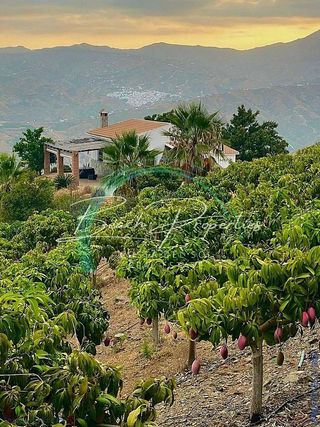Casa en venta en Camino Algarrobo - Las Arenas en Vélez-Málaga