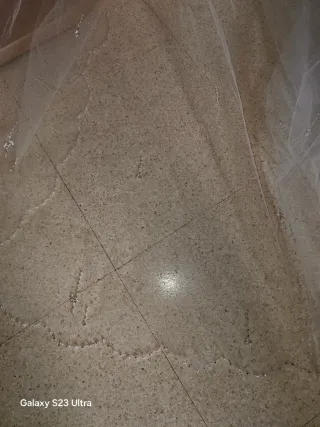 Velo de Novia con Brillo