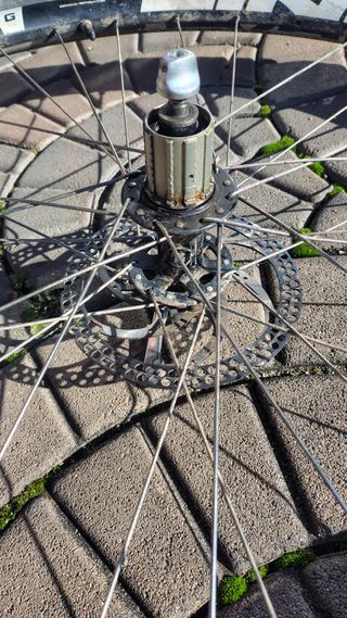 Ruota posteriore 27.5" con disco e gomma