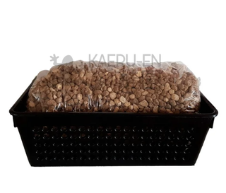 Sauce ROSA | Bonsai Zero URBANO