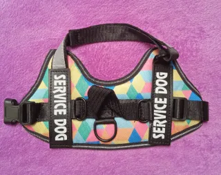 Arnés para perro pequeño