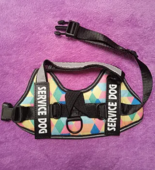 Arnés para perro pequeño