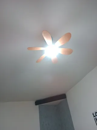 Lámpara ventilador de techo