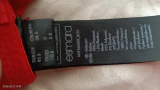 Corpiño con liguero rojo