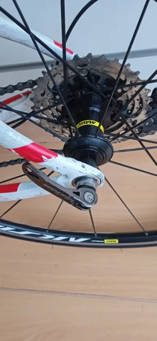 Bicicleta Orbea Avant