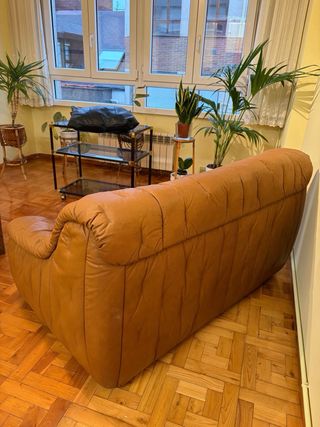 Sofá de piel 2 plazas