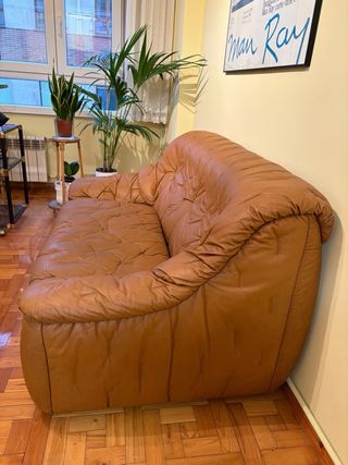 Sofá de piel 2 plazas