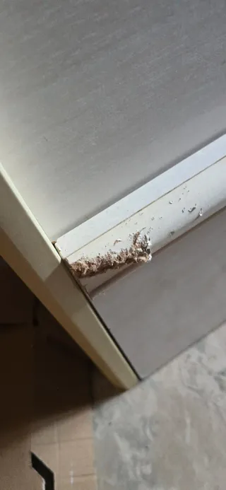 Cama nido de madera.