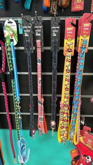 Coleira para cão Dashi La Casa de Papel e outras
