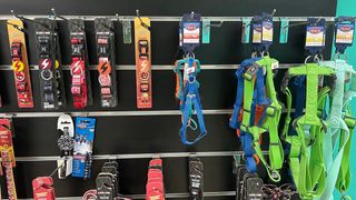 Coleira para cão Dashi La Casa de Papel e outras