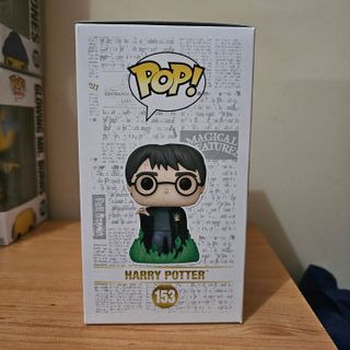 Funko Pop! Harry Potter 153 Glow in the Dark