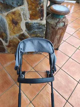 Capota Bugaboo Camaleón