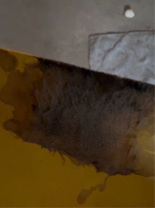 Tapa Depósito Cagiva Freccia 125 Amarillo