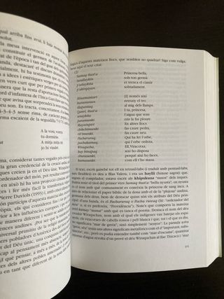 Lenguas vivas en América Latina