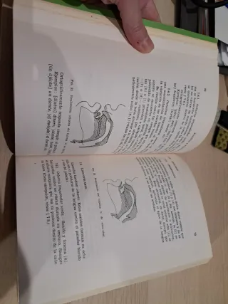 Libro de fonética y fonología