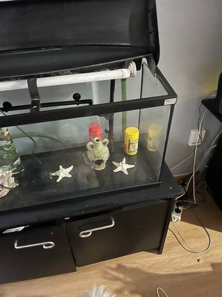 Acuario 80L con adornos y bombas