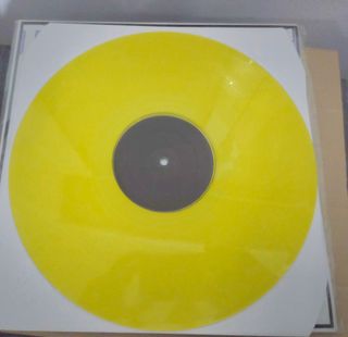 Beatnicks LP Raro Indie