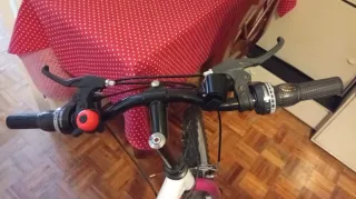 Bicicleta Denbike 24