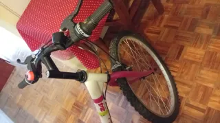 Bicicleta Denbike 24