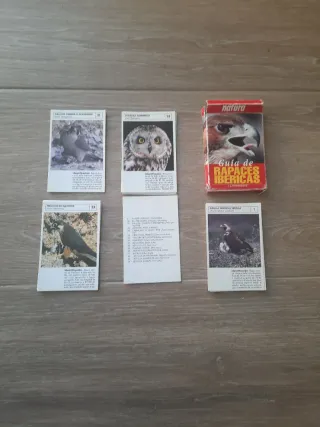 Cartas Rapaces Ibéricas Natura