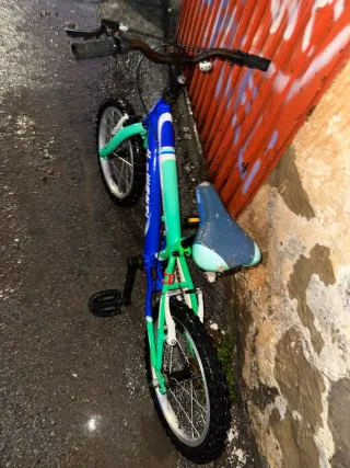 Bicicleta infantil JL-WENTI