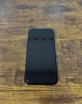 iPhone X (256GB-Negro)