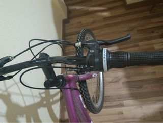 Bicicleta Morada