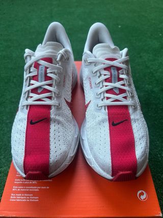 Nike Pegasus Talla 40