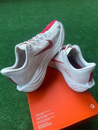 Nike Pegasus Talla 40