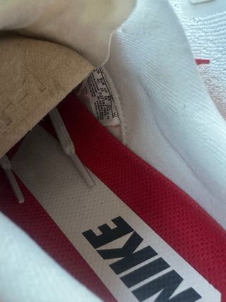 Nike Pegasus Talla 40