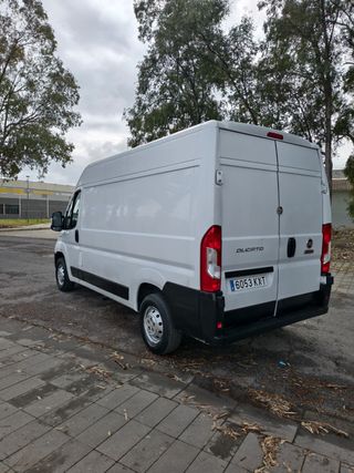 FIAT Ducato 2019