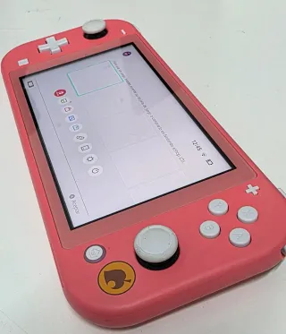 Nintendo Switch Lite Rosa