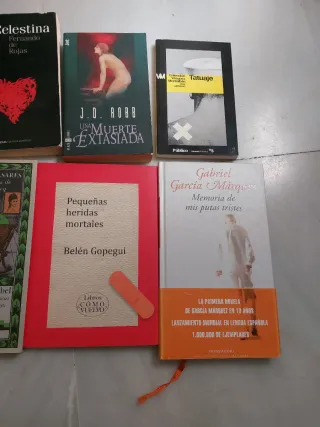 Lote de libros.