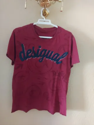 Camiseta Polo tommy ,desigual,zara