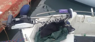 Barca Open 5m con T.Top