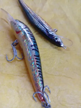 Lote de 10 señuelos de pesca