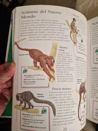 Il Mondo Degli Animali